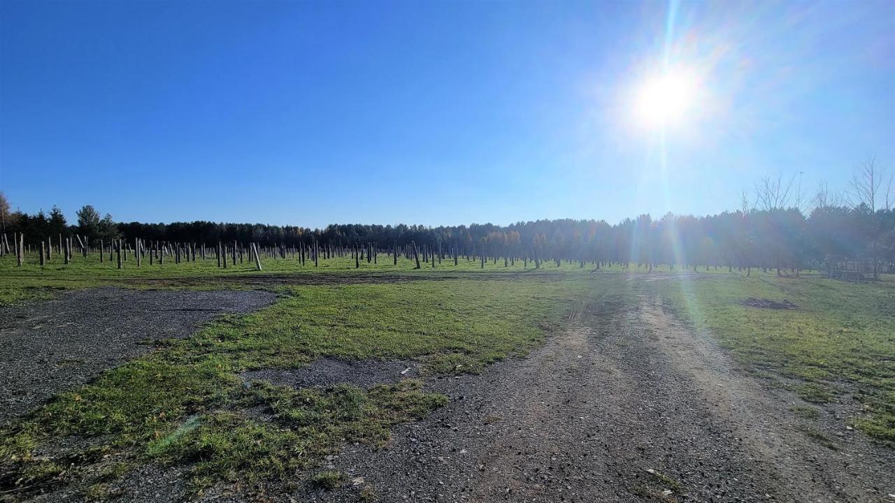 Auberge Du Vignoble Bromont Luaran gambar